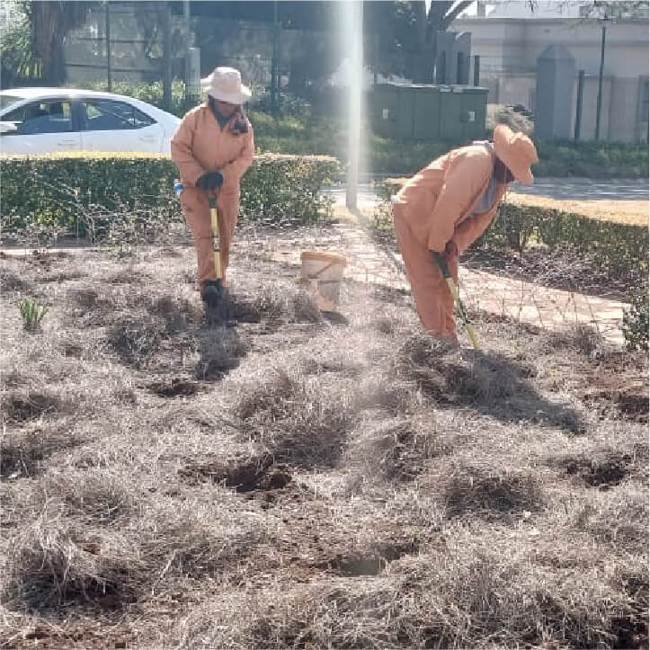 Maintenance | Horticulturist | Gardening