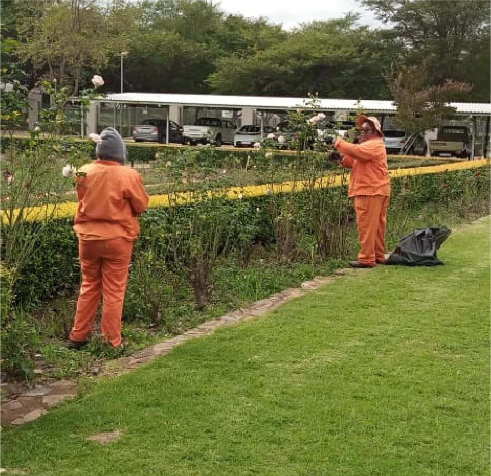 Prunning